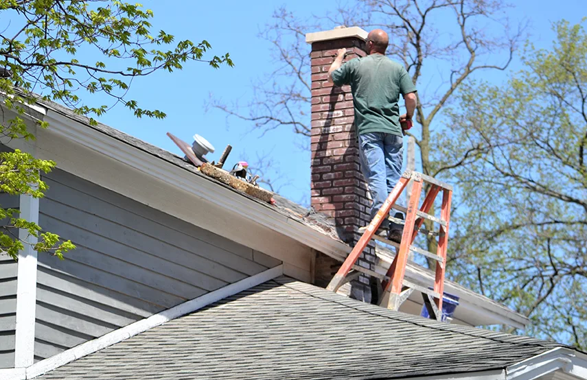 Chimney & Fireplace Inspections Services in Suitland, MD